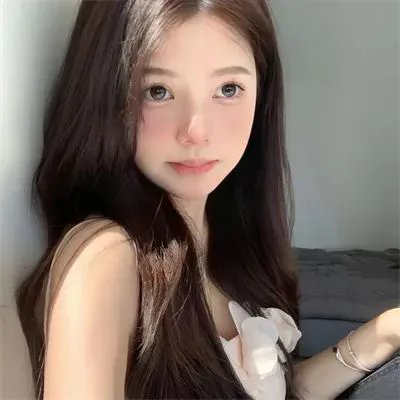 菊石